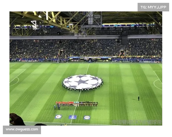 球迷冲入场内致比赛中断,欧足联启动调查